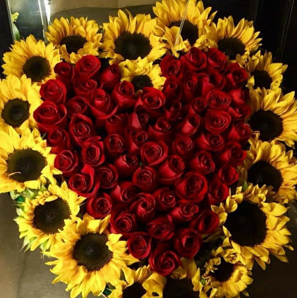 Meet your Posher, Nancy - Picture 2 of 5